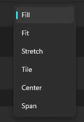 Fill Options in Windows 11 Personalization menu